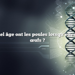 Question : Quel âge ont les poules lorsqu’elles pondent des œufs ?
